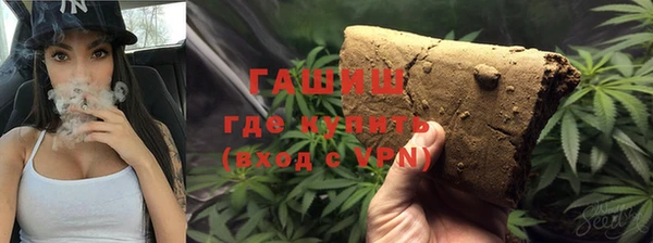 соль ск Ельня