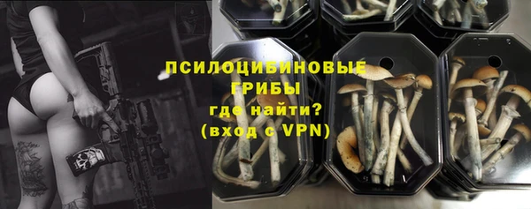 соль ск Ельня
