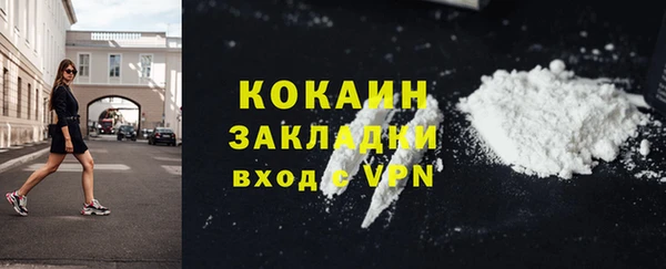 соль ск Ельня