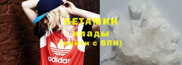 соль ск Ельня