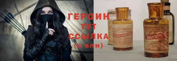 соль ск Ельня