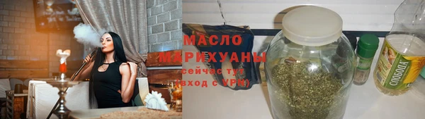 соль ск Ельня