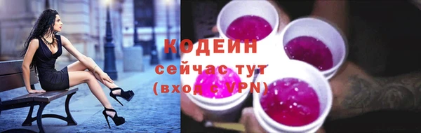 соль ск Ельня