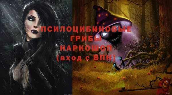 шишки Елабуга