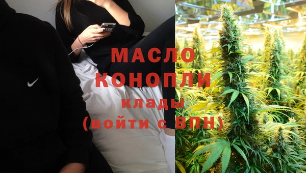 соль ск Ельня