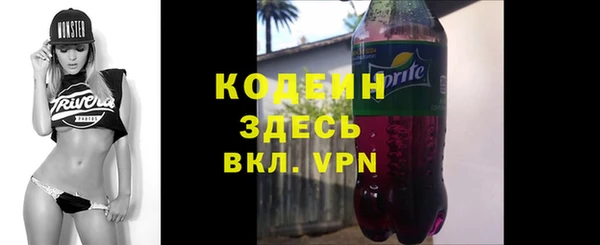 стаф Елизово