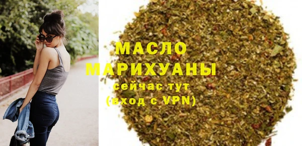соль ск Ельня